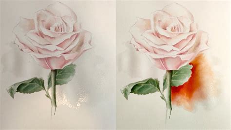 dipingere una rosa ad acquerello tudor|Acquerello Lezione n.34 : Come disegnare e dipingere una Rosa .